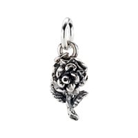 Charm Amen Donna Charm in Argento CH-AM09